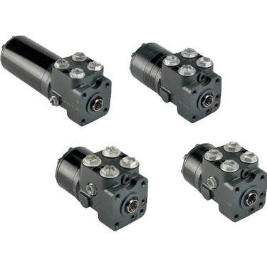 DİREKSİYON BEYİNLERİ